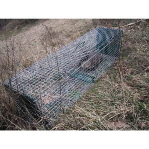 Wildlife Box Trap, 2 Doors, 64 x 21 x 21 cm BOXTRAP - Image 3