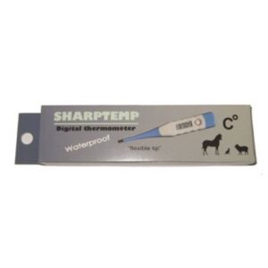 Electronic Thermometer Celsius - Image 2