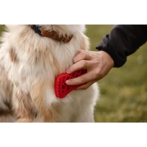 Brush firm silicone for Large breed dogs PETME - Image 4