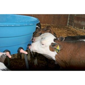 Calfateria Calf Feeder - With10 Peach Teat 80L - Image 2