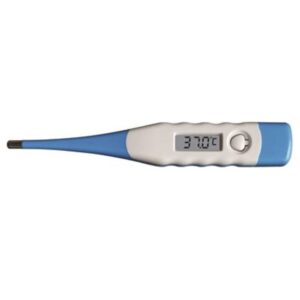 Electronic Thermometer Celsius - Image 1