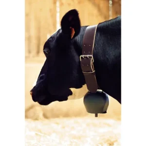 Black blue curved steel bell 144 mm - Image 1